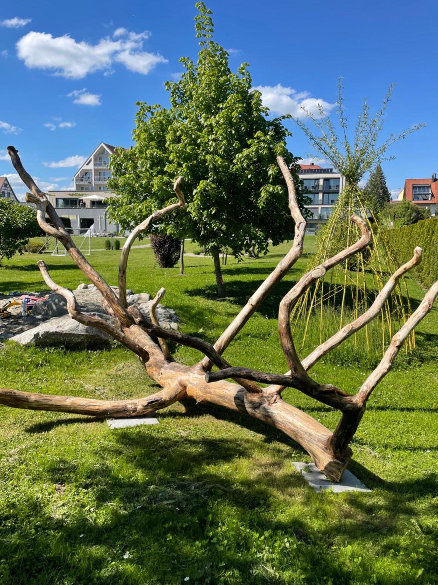 Hotel Traube Am See FDH Eksteriør bilde